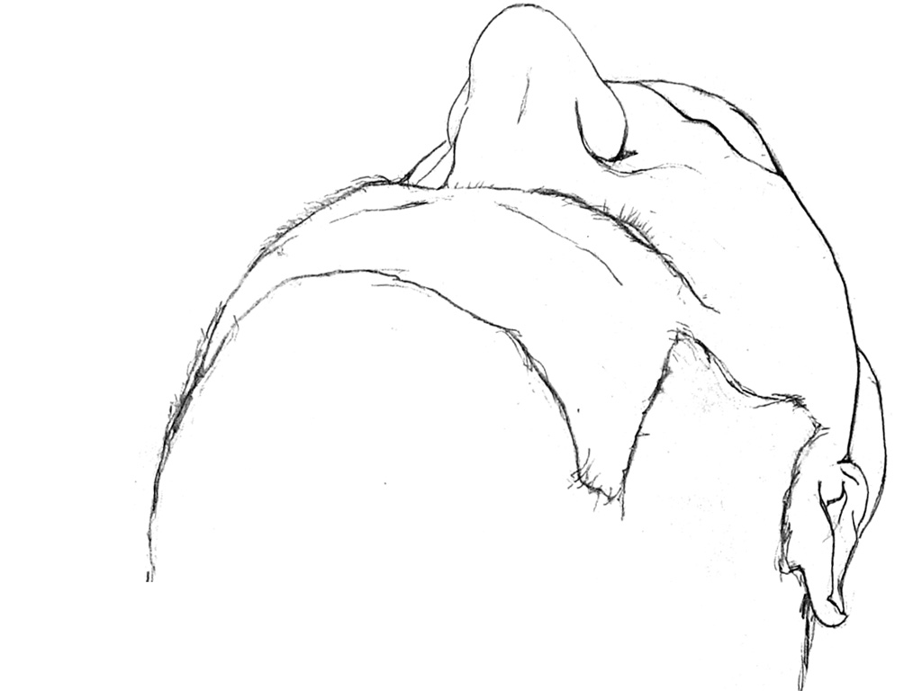 fjodor gejko illustration freihandzeichnen kopf eines mannes