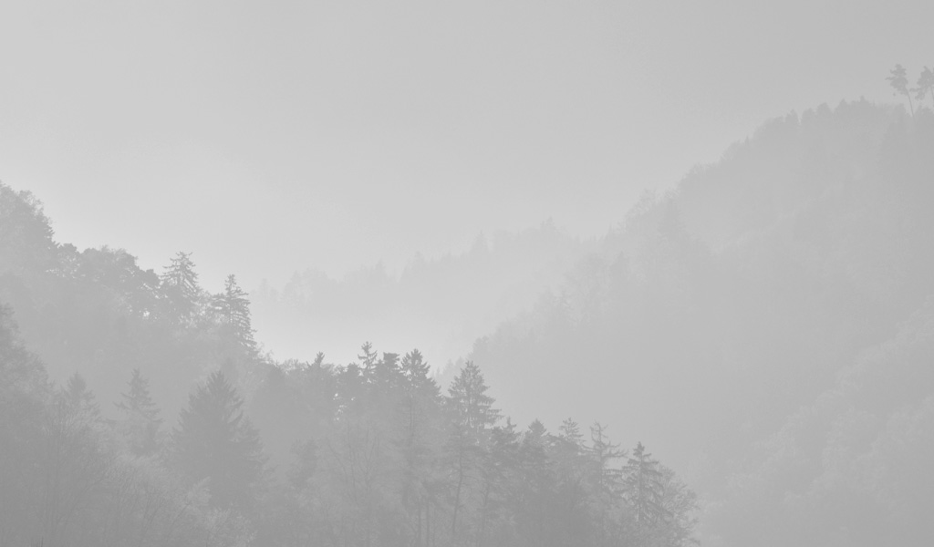 fjodor gejko - nebel fotografie landschaft