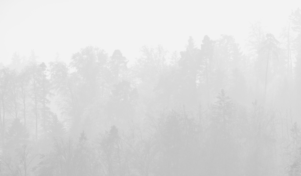 fjodor gejko - nebel fotografie landschaft