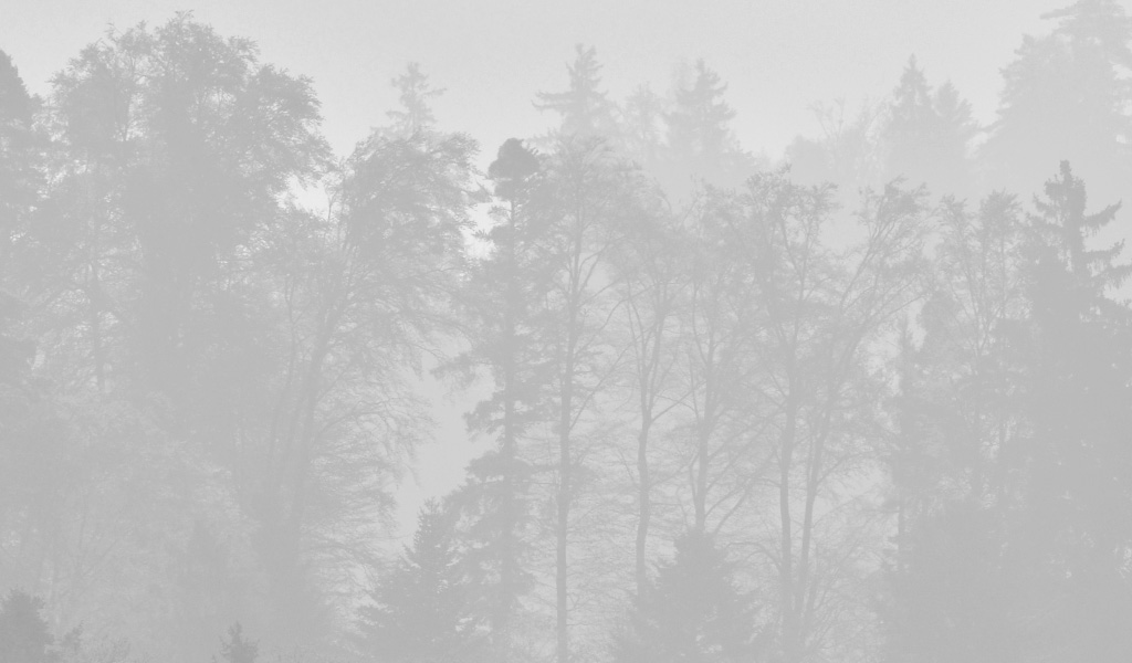 fjodor gejko - nebel fotografie landschaft