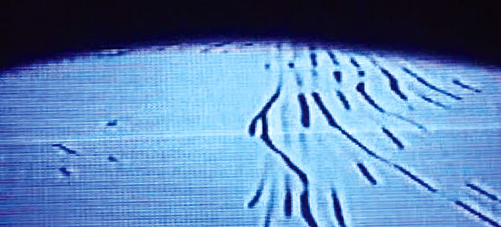 fjodor gejko - tassels / experimental video for aphex twin / richard d. james