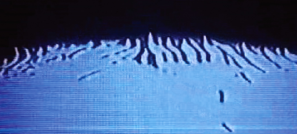 fjodor gejko - tassels / experimental video for aphex twin / richard d. james